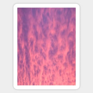 Pink Winter Sky Sticker